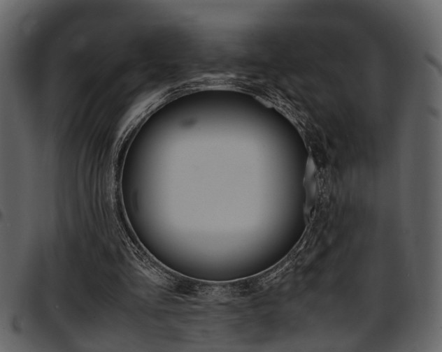 X0000097600293200802290739