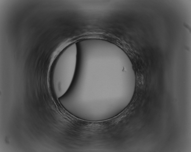X0000097600294200802290739