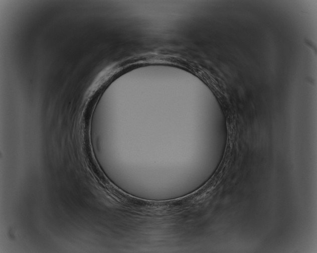 X0000097600295200802290739