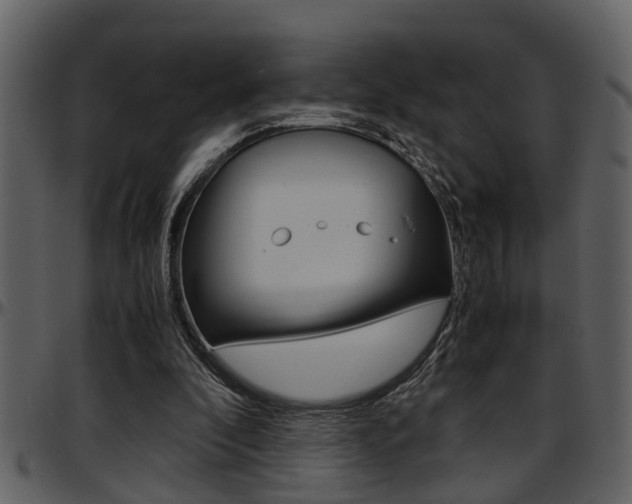 X0000097600296200802290739