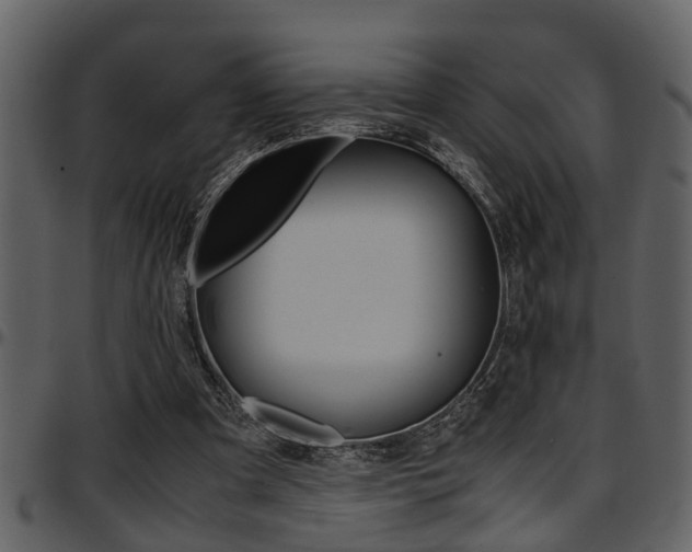 X0000097600297200802290739