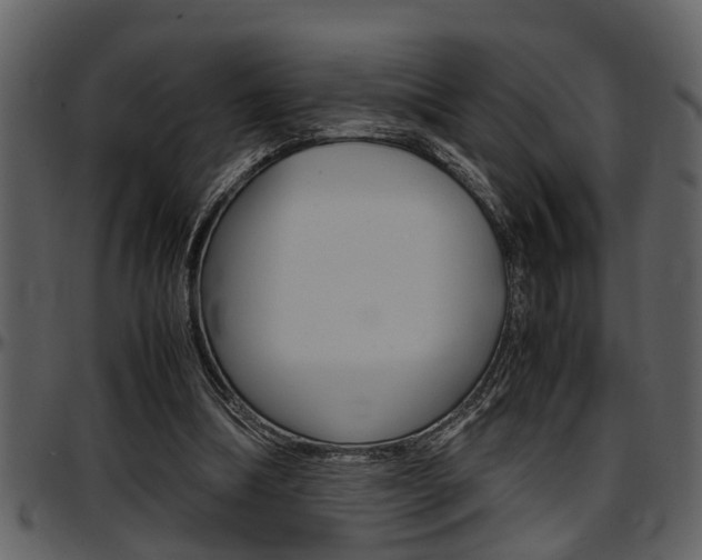 X0000097600298200802290738