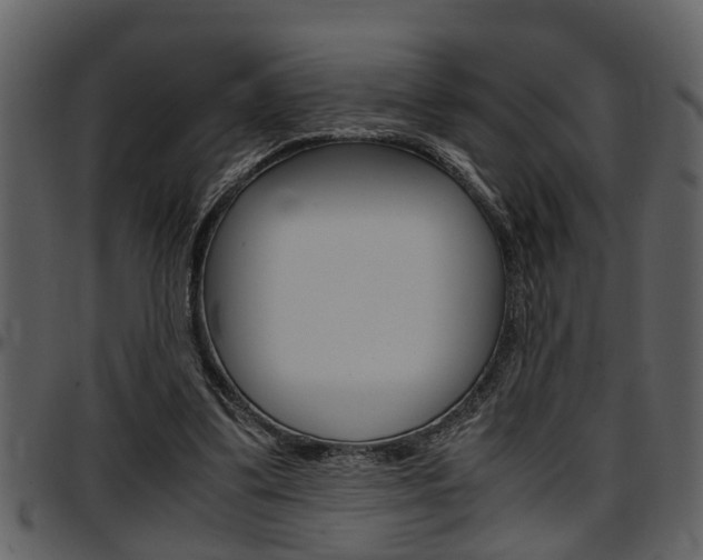 X0000097600299200802290738
