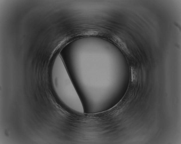 X0000097600300200802290738