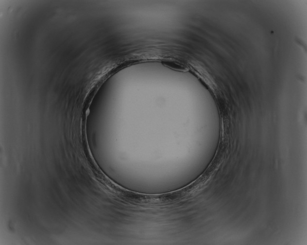 X0000097600301200802290738