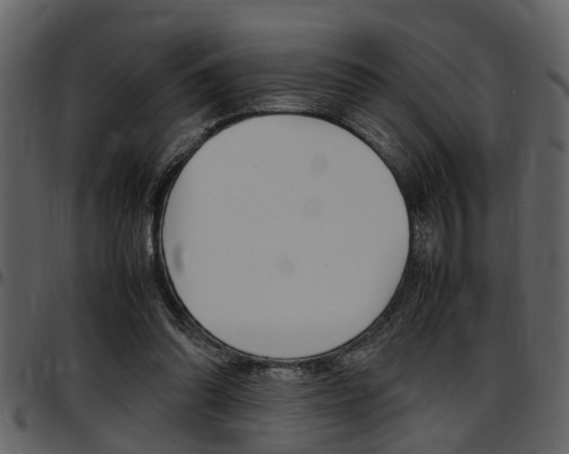 X0000097600302200802290738