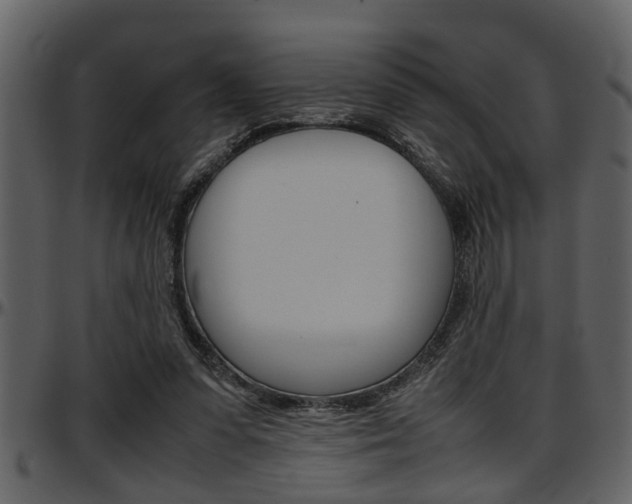X0000097600303200802290738