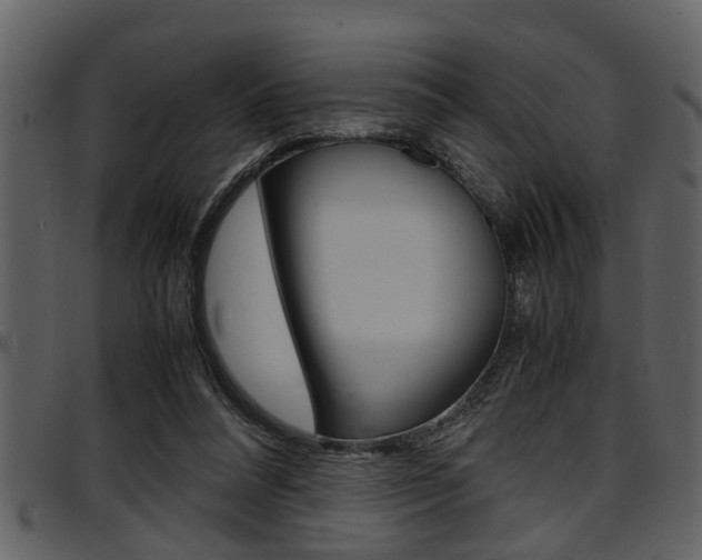 X0000097600304200802290738