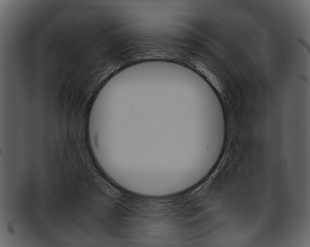 X0000097600305200802290738