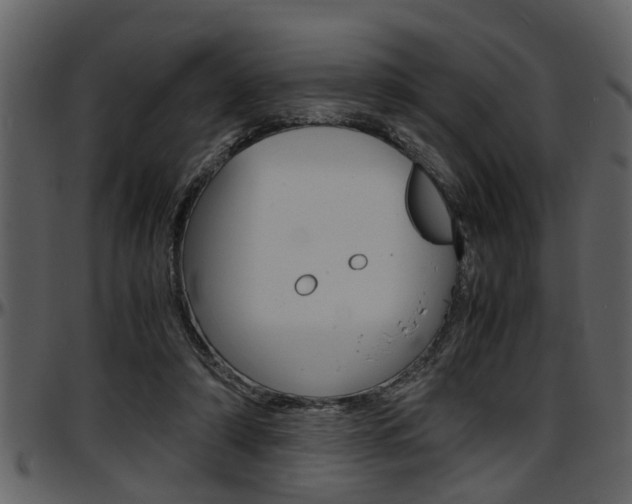 X0000097600306200802290738