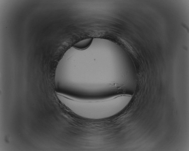 X0000097600307200802290738