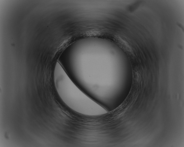 X0000097600308200802290738