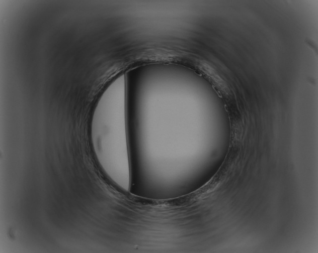 X0000097600309200802290738