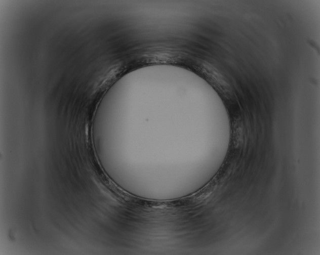 X0000097600310200802290738