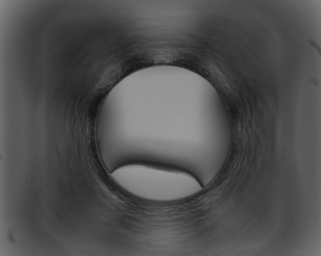 X0000097600311200802290738