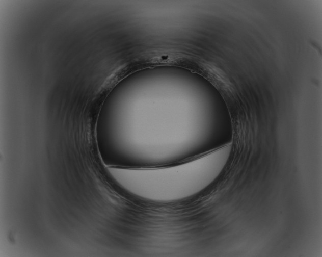 X0000097600312200802290738
