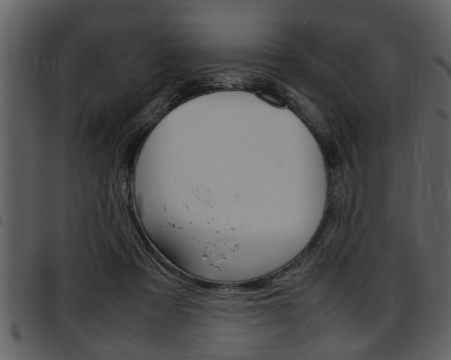 X0000097600313200802290738