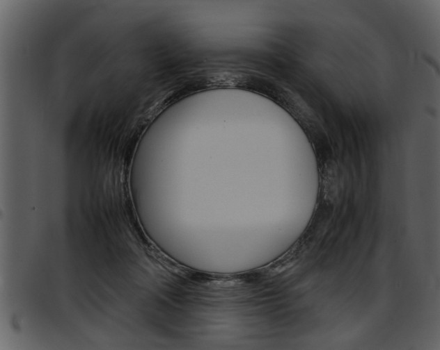 X0000097600314200802290738