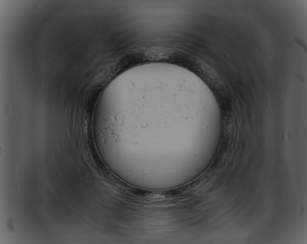X0000097600315200802290738