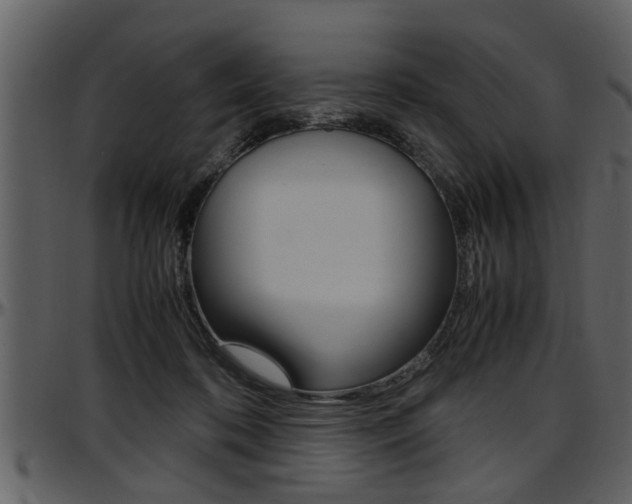X0000097600316200802290738