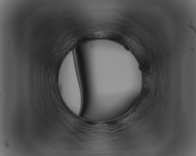 X0000097600317200802290738