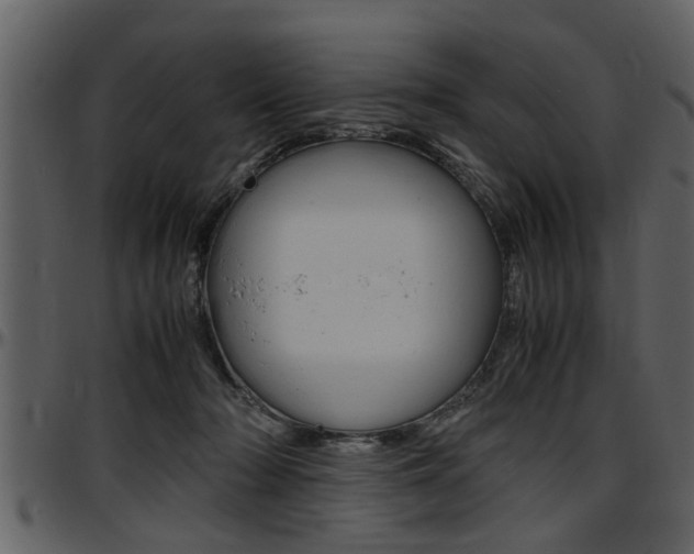 X0000097600318200802290738