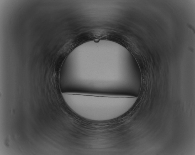 X0000097600319200802290738