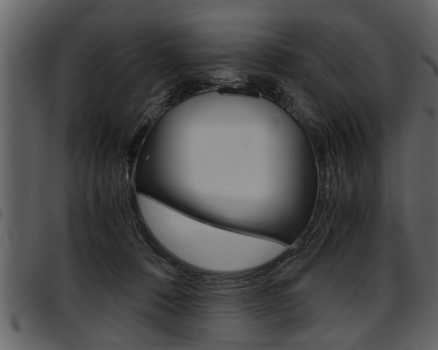 X0000097600320200802290738