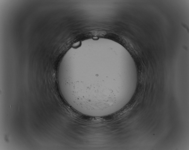 X0000097600321200802290738