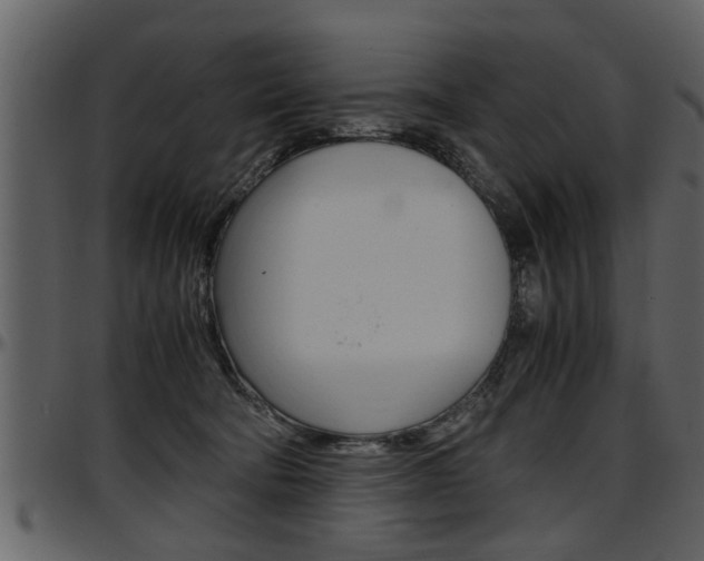 X0000097600322200802290738