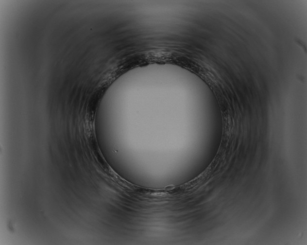 X0000097600324200802290738