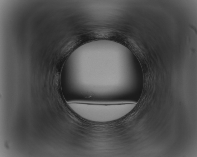 X0000097600325200802290738