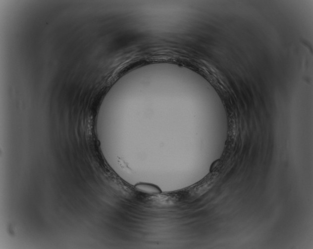 X0000097600326200802290738