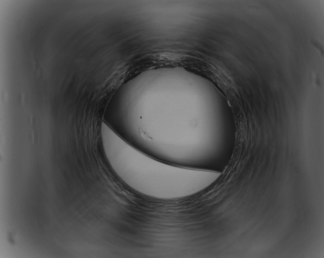 X0000097600328200802290738