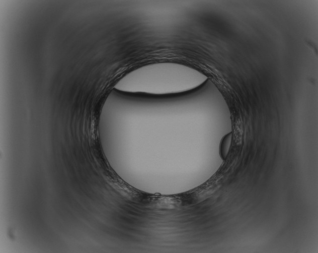X0000097600330200802290738