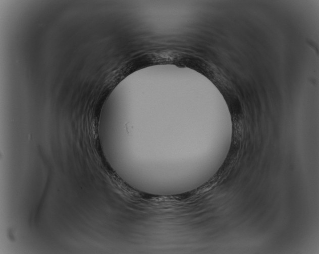 X0000097600331200802290738