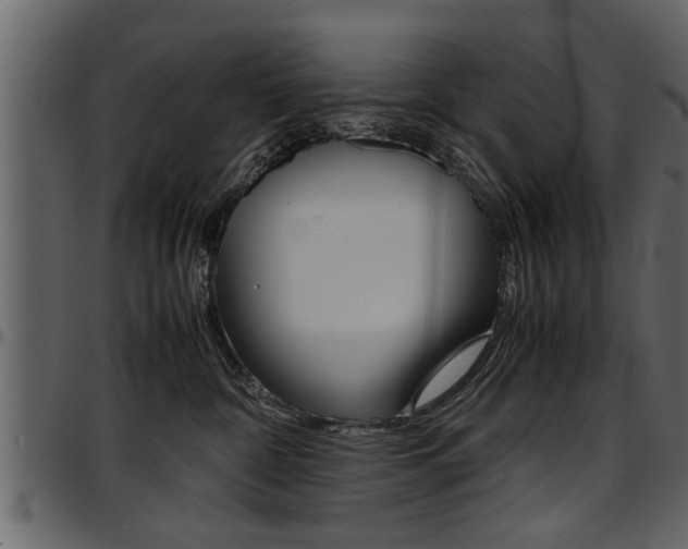 X0000097600332200802290738