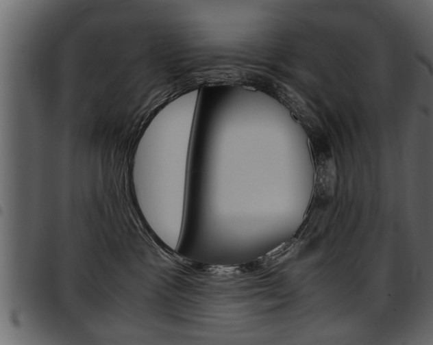 X0000097600333200802290738