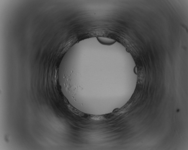 X0000097600334200802290738