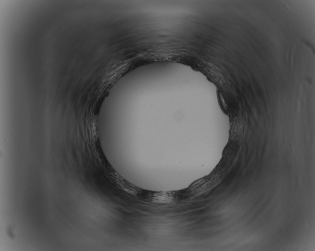 X0000097600335200802290738