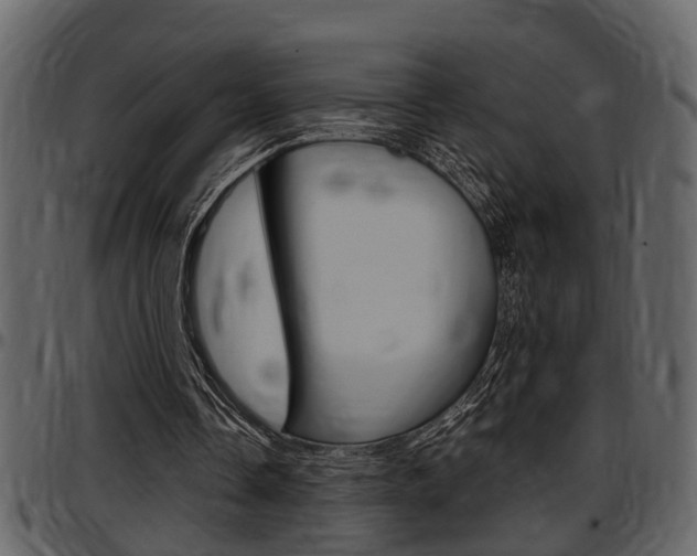 X0000097600338200802290737