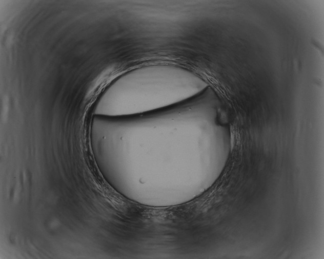 X0000097600339200802290737