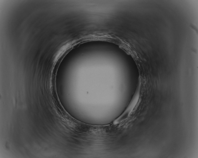 X0000097600340200802290737