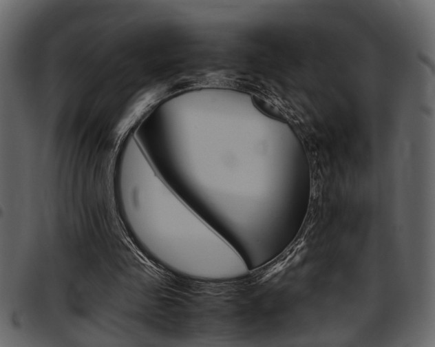 X0000097600341200802290737