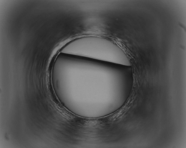 X0000097600342200802290737