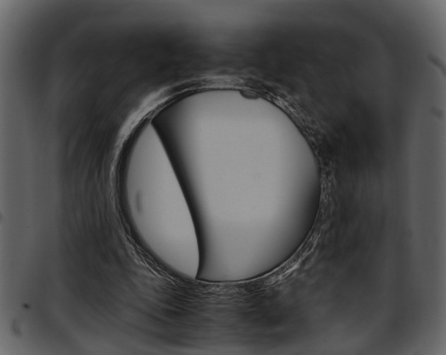 X0000097600343200802290737