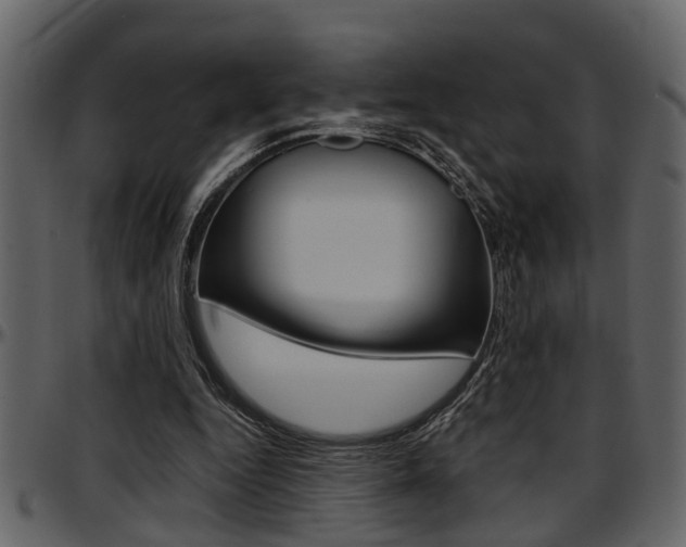 X0000097600344200802290737