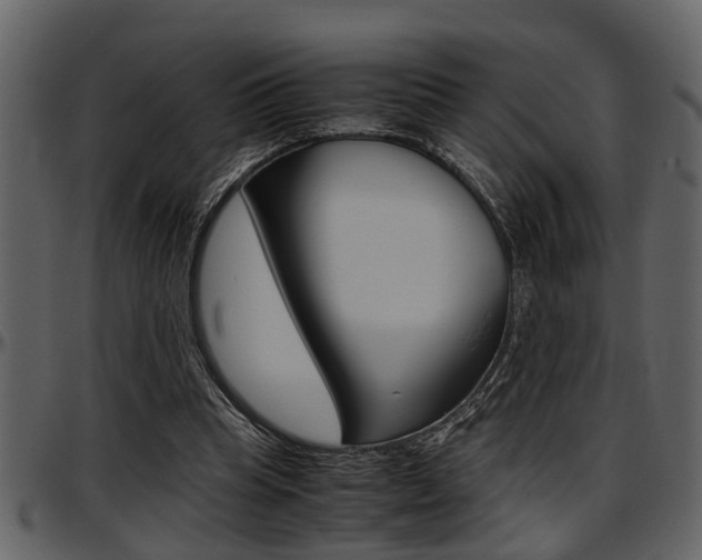 X0000097600345200802290737