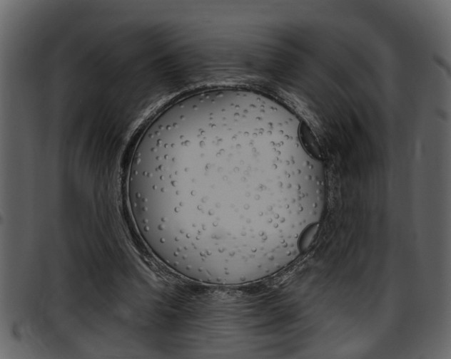 X0000097600346200802290737