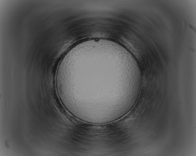 X0000097600347200802290737